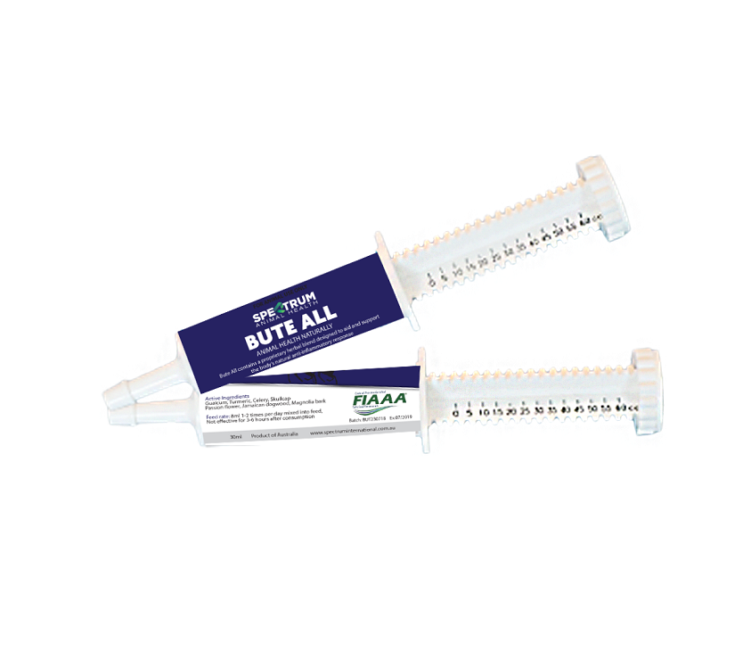 Bute All Paste 30ml