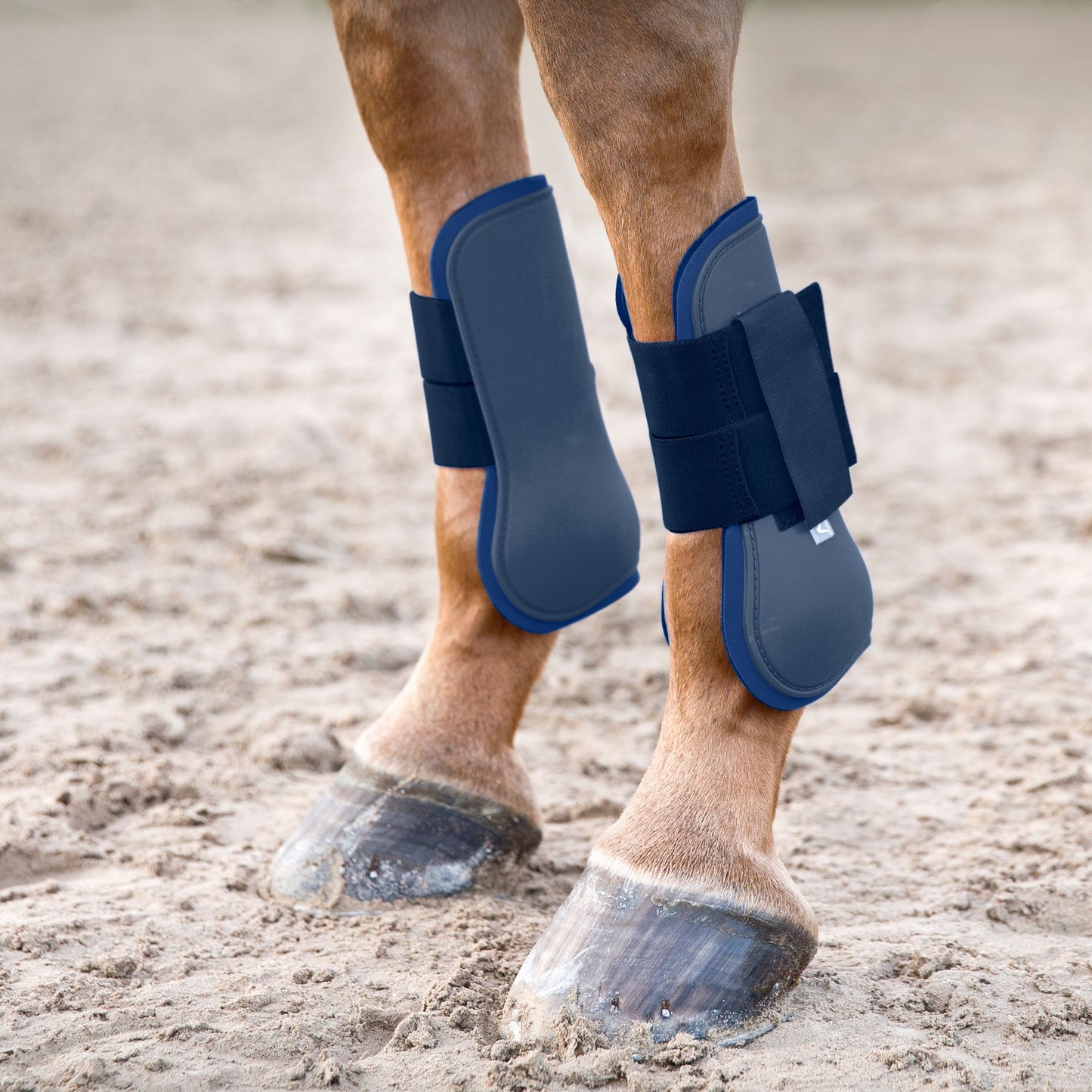 Horze Tendon Boots Dark Blue