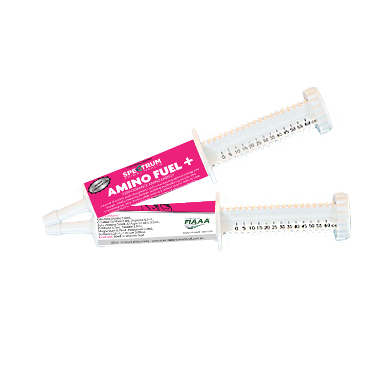 Amino Fuel Paste