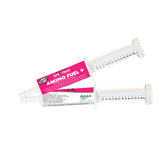 Amino Fuel Paste