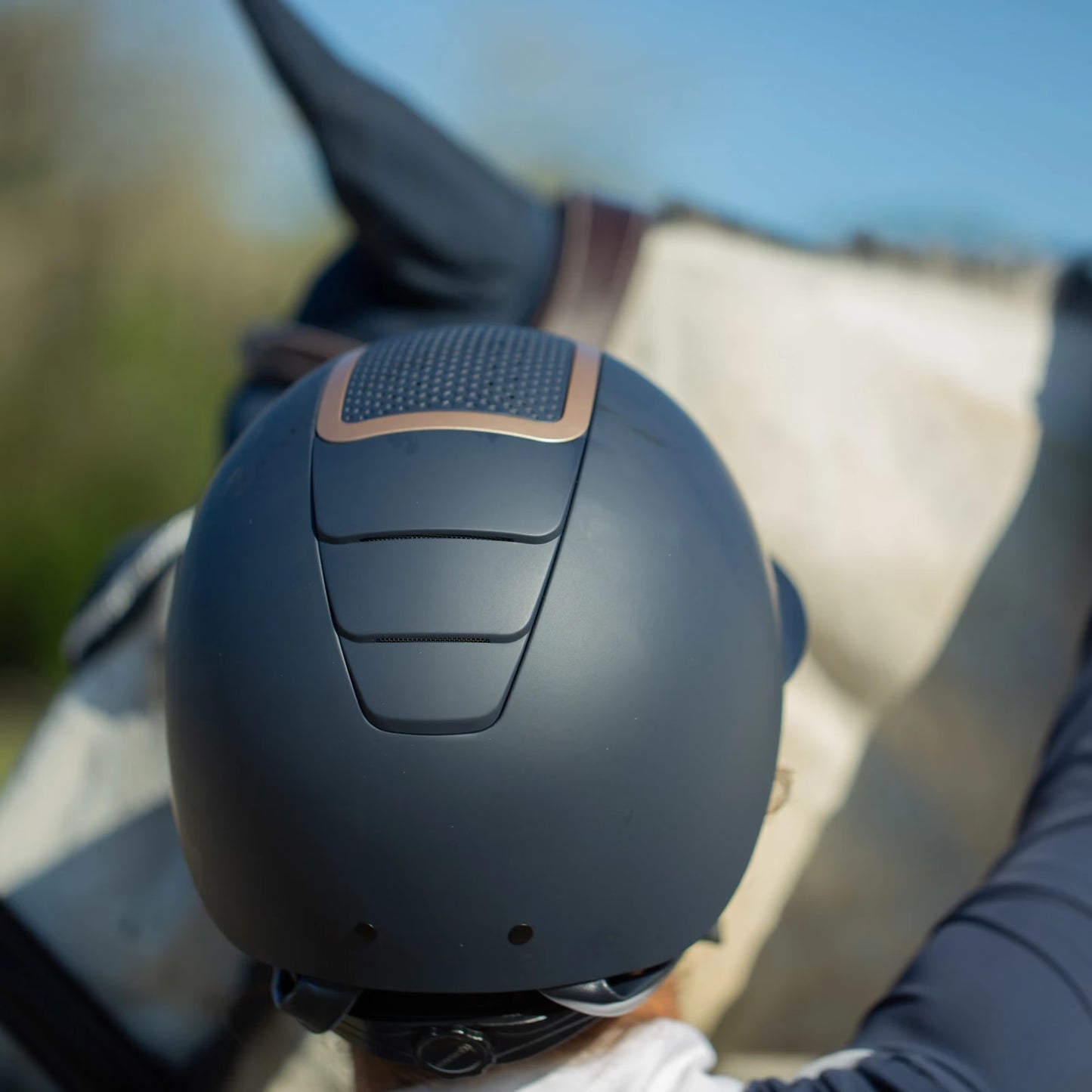 Equinavia Crown MIPS Helmet Navy & Gold