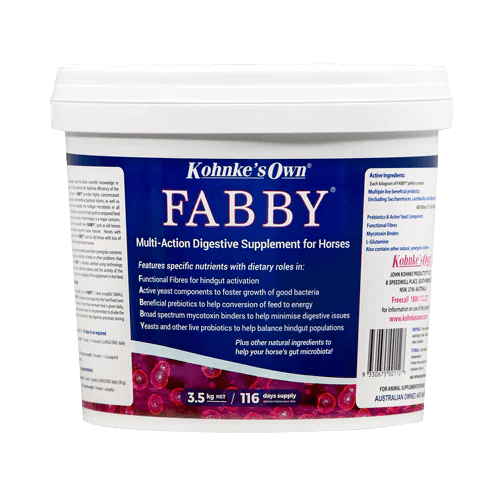 Kohnkes Fabby - Aitken's Saddlery