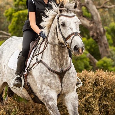 Lumiere Anka Leather Breastplate - Aitken's Saddlery