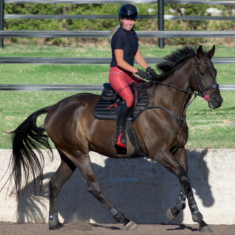 Lumiere Anka Leather Breastplate - Aitken's Saddlery