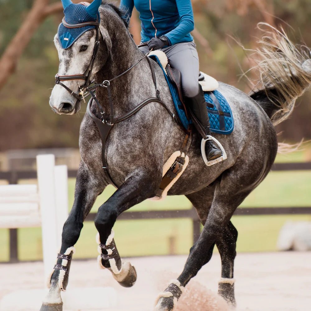 Lumiere Anka Leather Breastplate - Aitken's Saddlery
