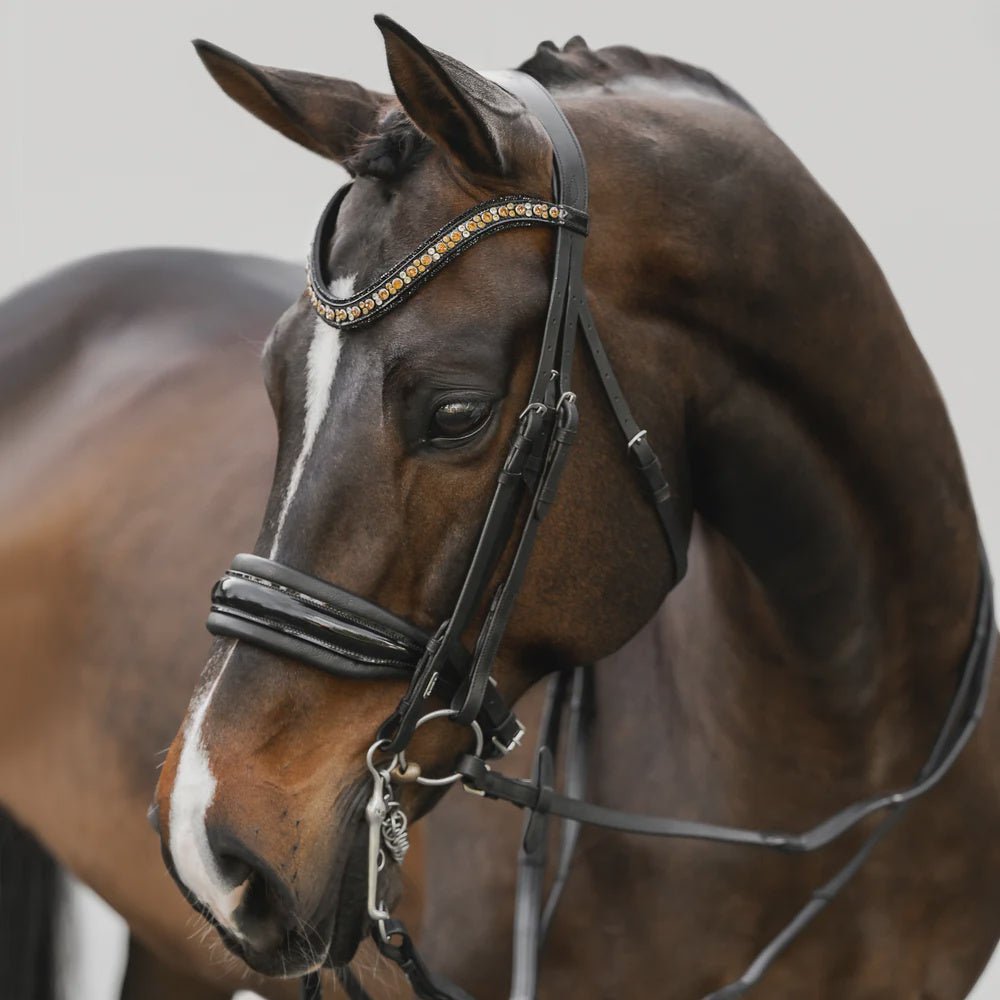 Lumiere Ariana Double Bridle - Aitken's Saddlery