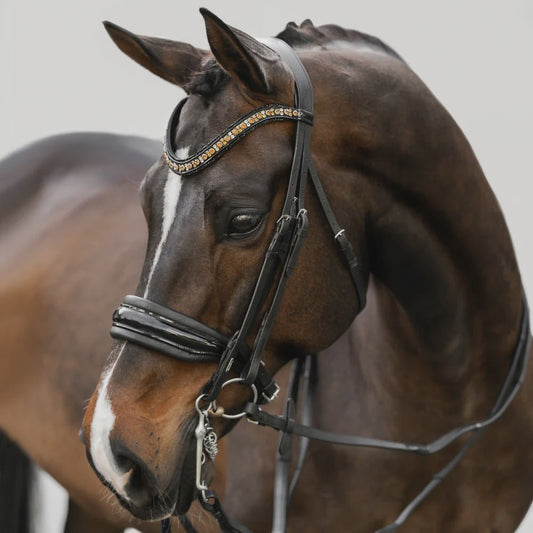Lumiere Ariana Double Bridle - Aitken's Saddlery