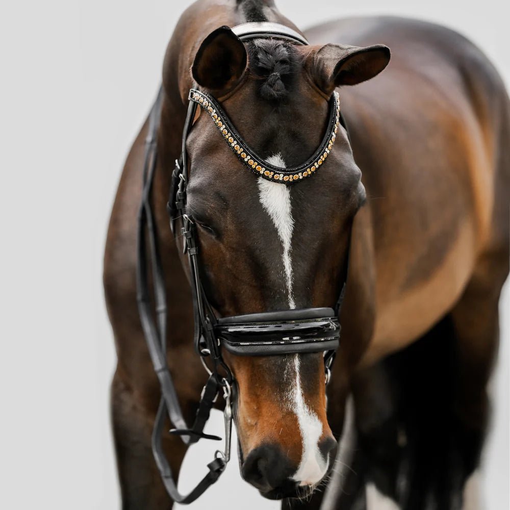 Lumiere Ariana Double Bridle - Aitken's Saddlery