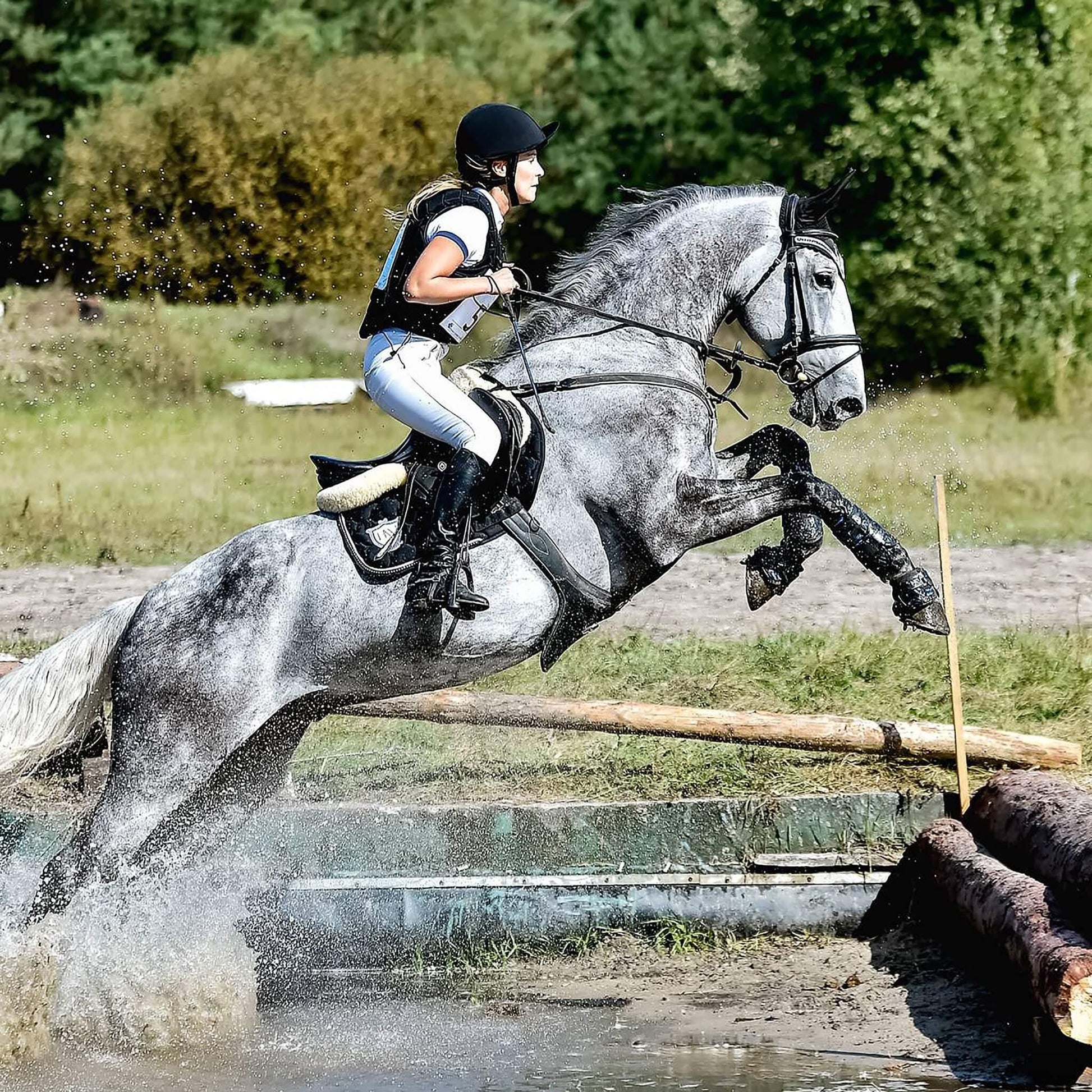 Majyk Equipe Elite XC Hind Boots Purple - Aitken's Saddlery