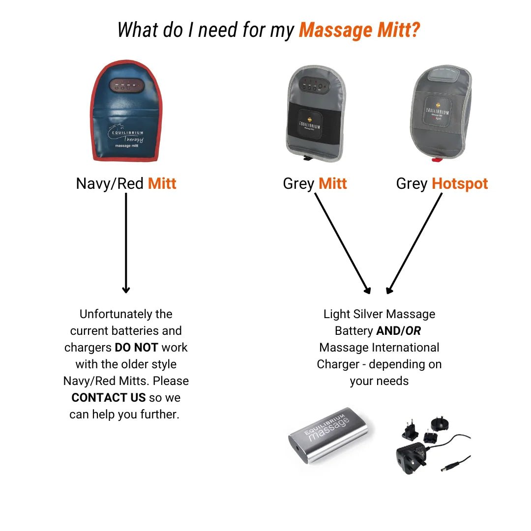 Massage Spare Charger & International Plug set - Aitken's Saddlery
