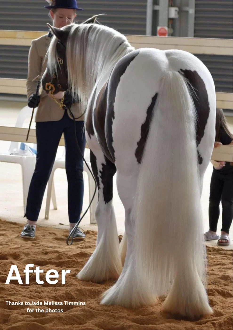 Hairy Pony Horse Purple Hair Repair Treatment