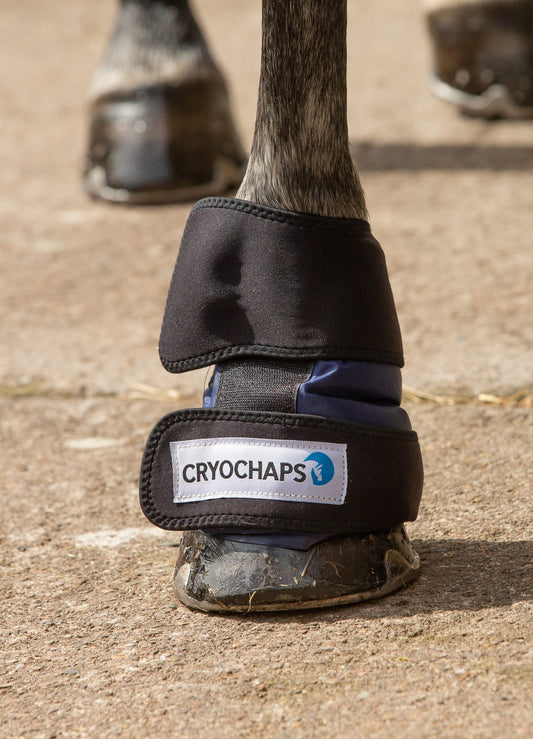 Cryochaps Absolute Ice Wrap Pastern, Hocks or Knees