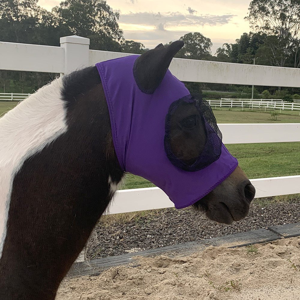 Piccolo Lycra Pull On Fly Mask Miniature - Aitken's Saddlery