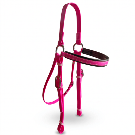 Porter PVC Barcoo Bridle - Aitken's Saddlery