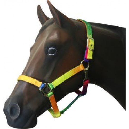Rainbow Halter - Aitken's Saddlery