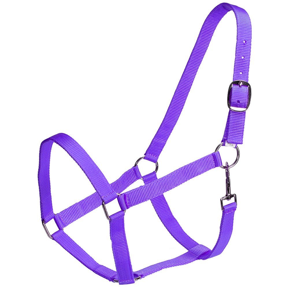 Rancher Stable Halter - Aitken's Saddlery