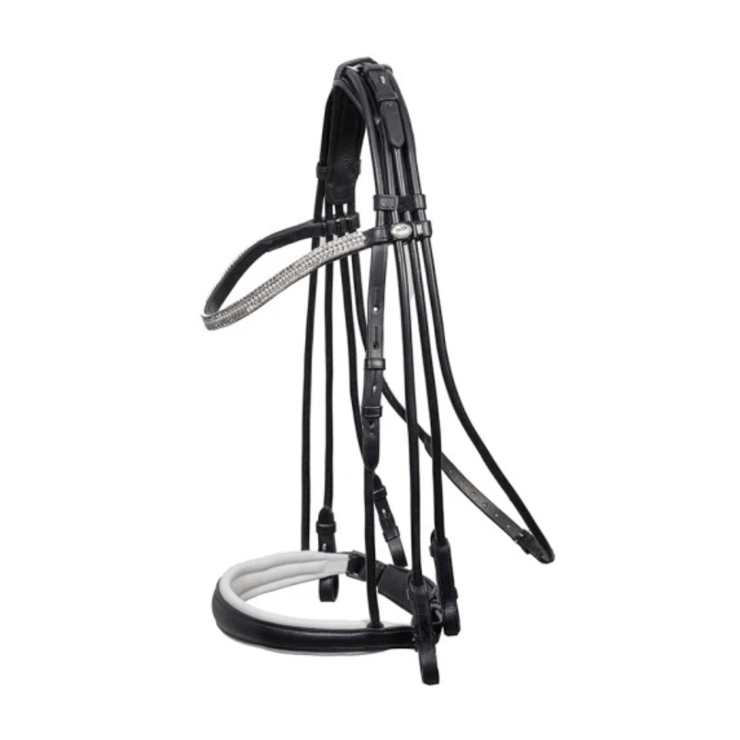 Schockemohle Rembrandt Xtreme Bridle - Aitken's Saddlery