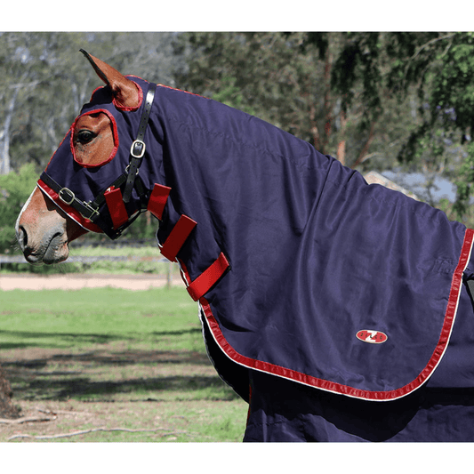 Show Circuit Cotton Hood Navy - Aitken's Saddlery