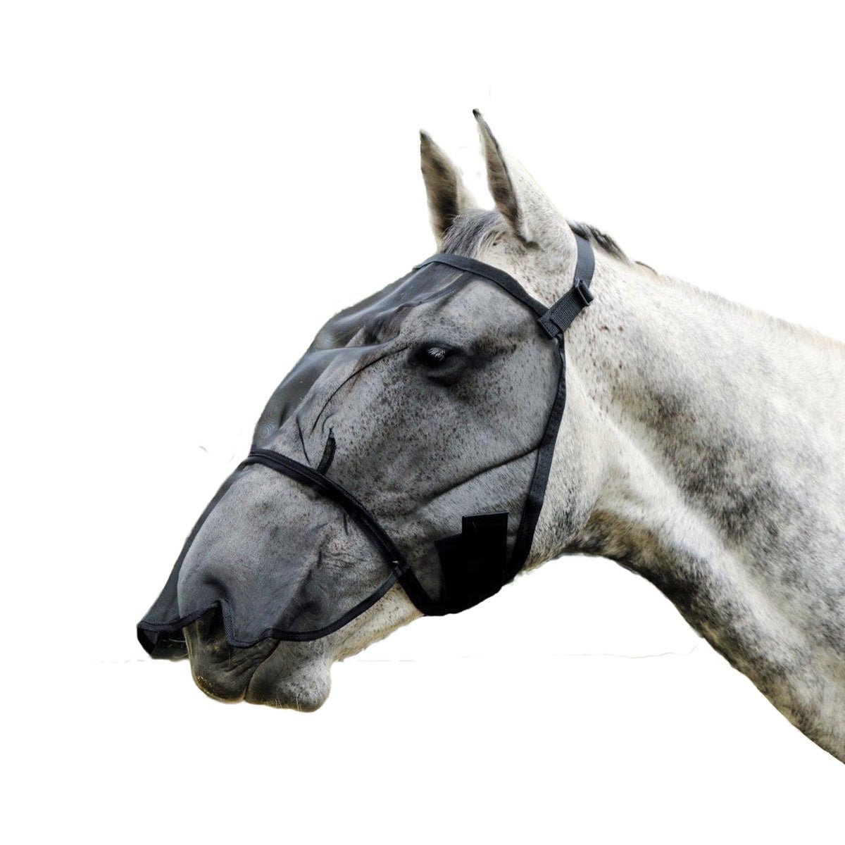 Showcraft Onyx Fly Mask Black - Aitken's Saddlery