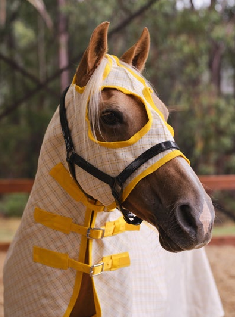 Showcraft Gold Canvas Ripstop Hood Cream Check