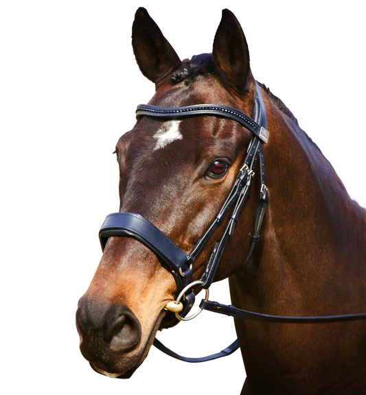 Fairfax Cavesson Bridle Patent Crystal Brow Band