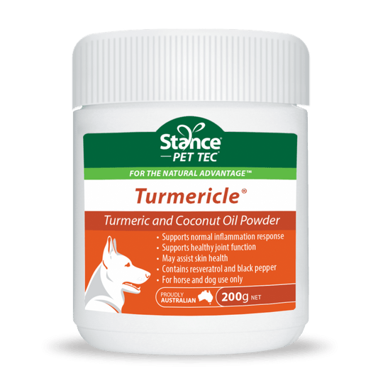 Stance Equitec Tumericle - Aitken's Saddlery
