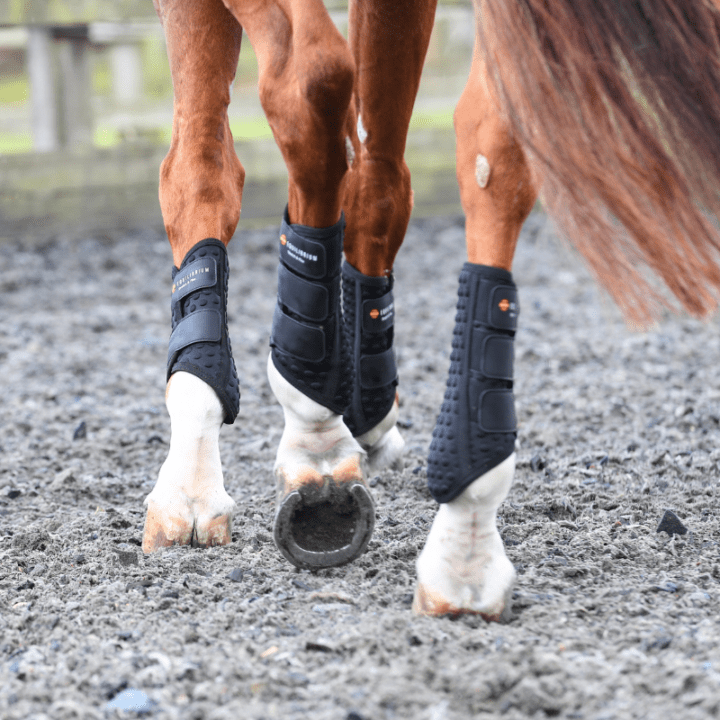Stretch & Flex Flatwork Wraps New Black - Aitken's Saddlery