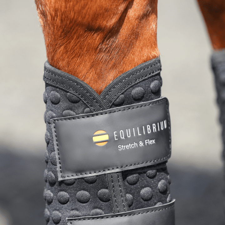Stretch & Flex Flatwork Wraps New Black - Aitken's Saddlery