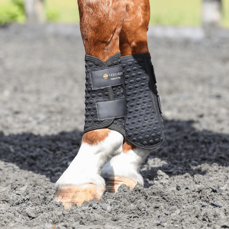 Stretch & Flex Flatwork Wraps New Black - Aitken's Saddlery