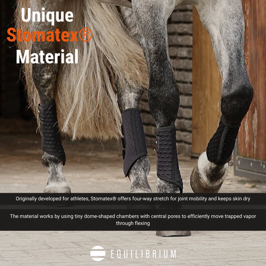 Stretch & Flex Flatwork Wraps New Black - Aitken's Saddlery