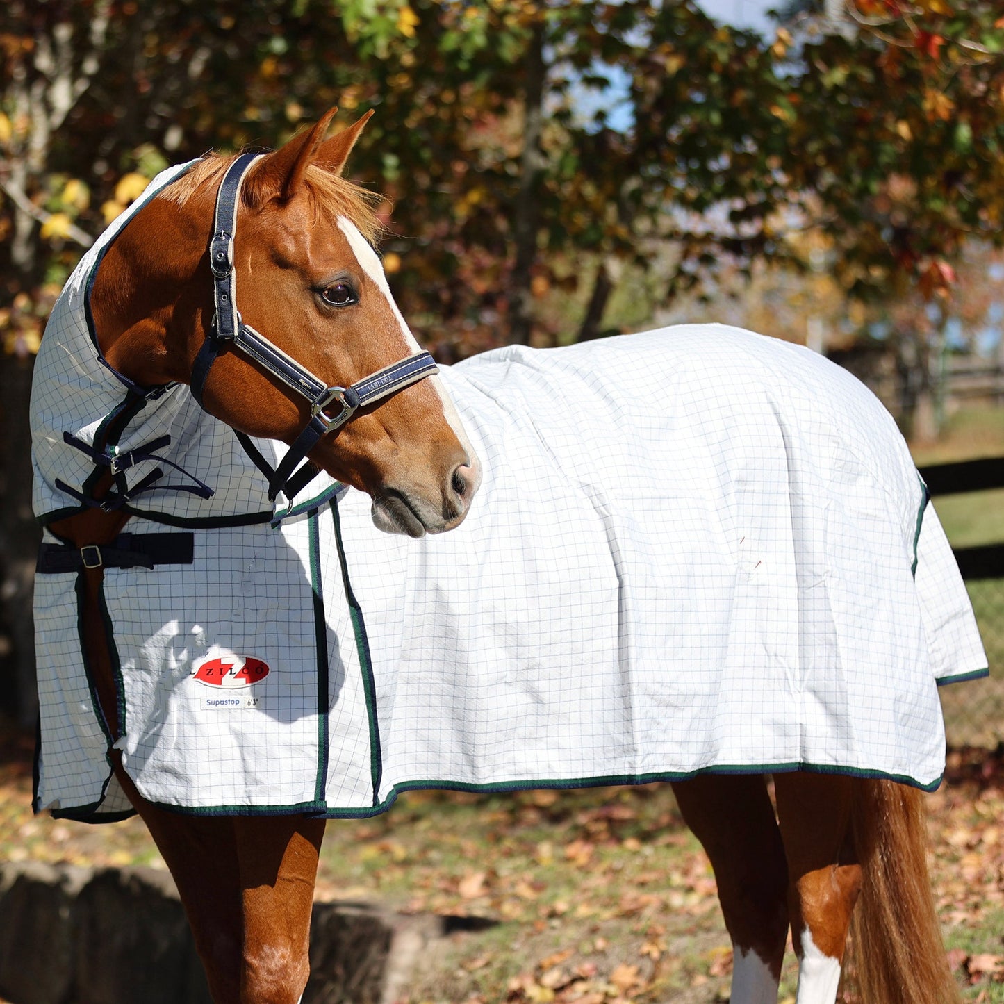 Supastop Combo White & Dark Green Navy Trim - Aitken's Saddlery