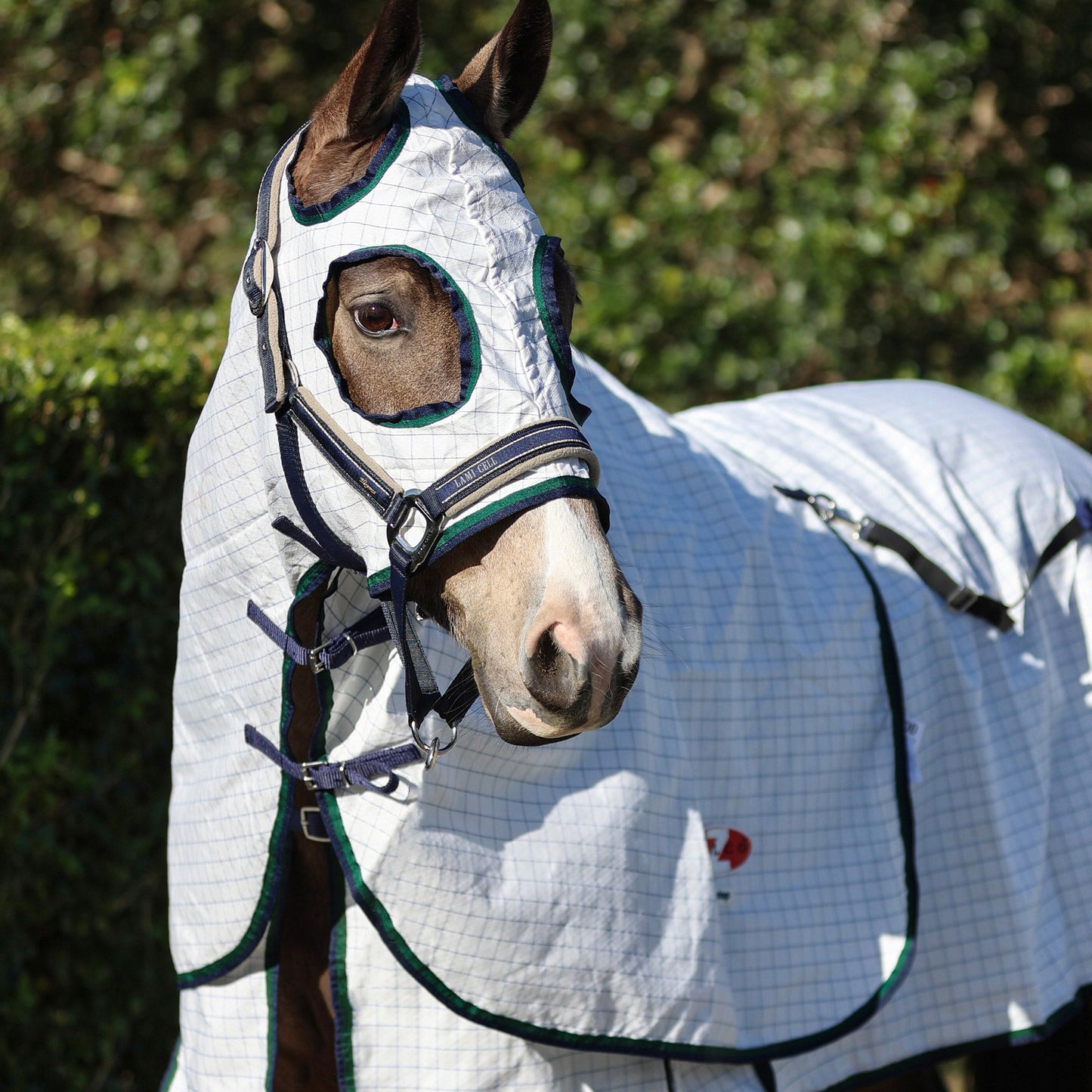 Supastop Hood White & Dark Green Navy Trim - Aitken's Saddlery
