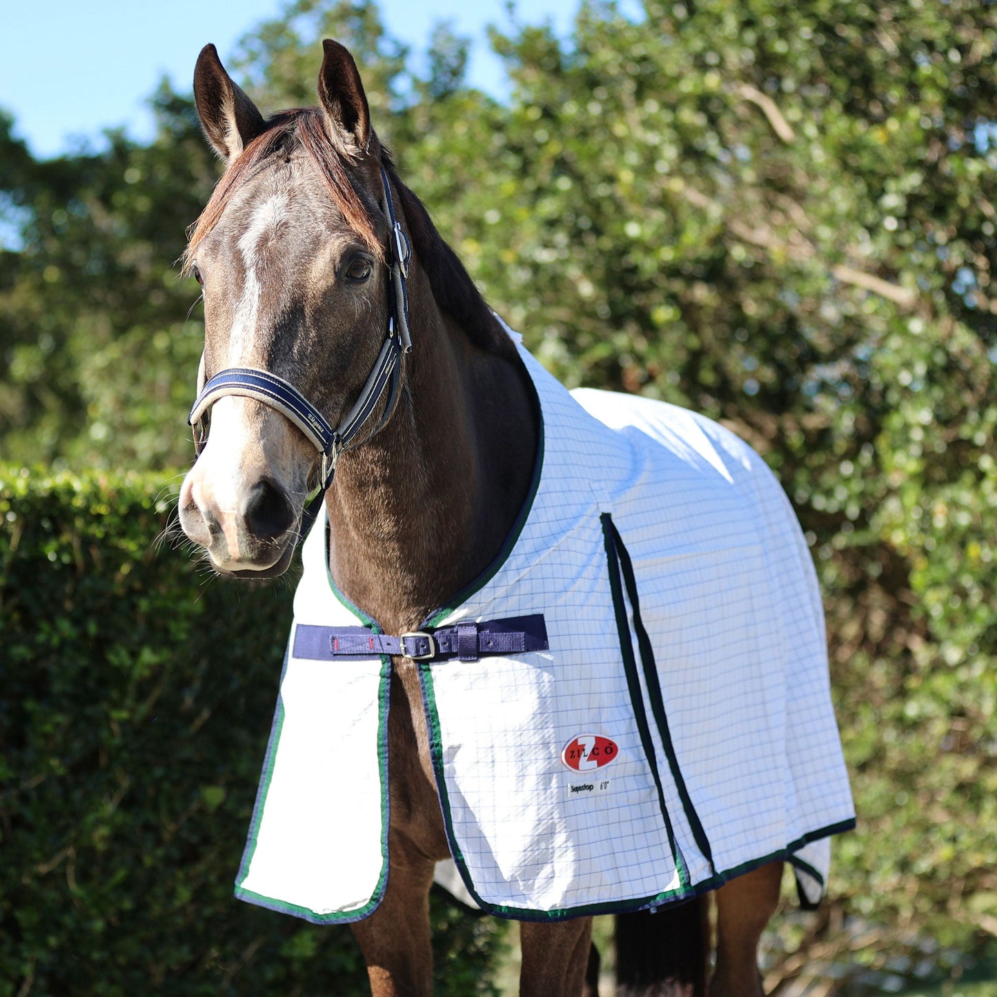 Supastop Rug White & Dark Green Navy Trim - Aitken's Saddlery