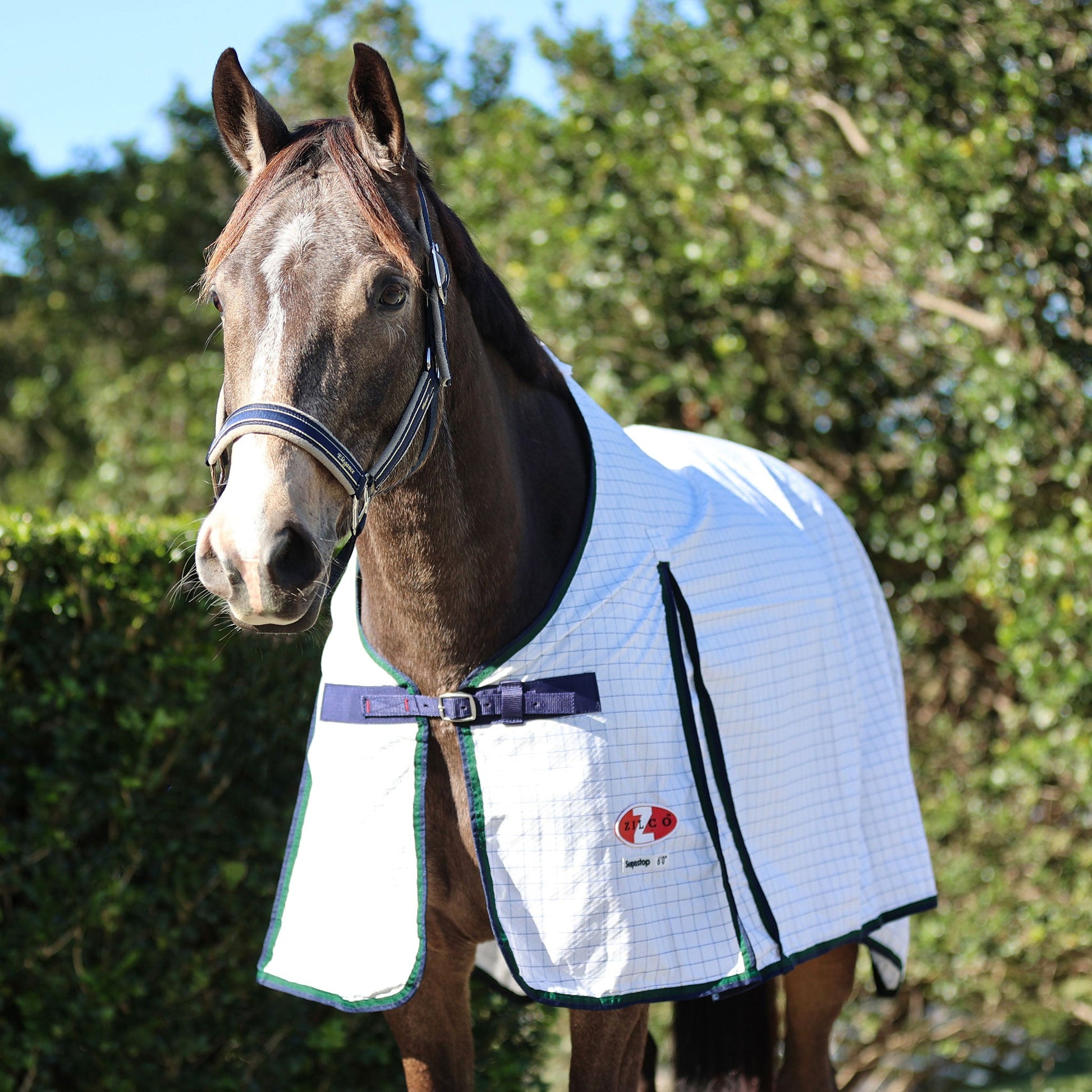Supastop Rug White & Dark Green Navy Trim - Aitken's Saddlery