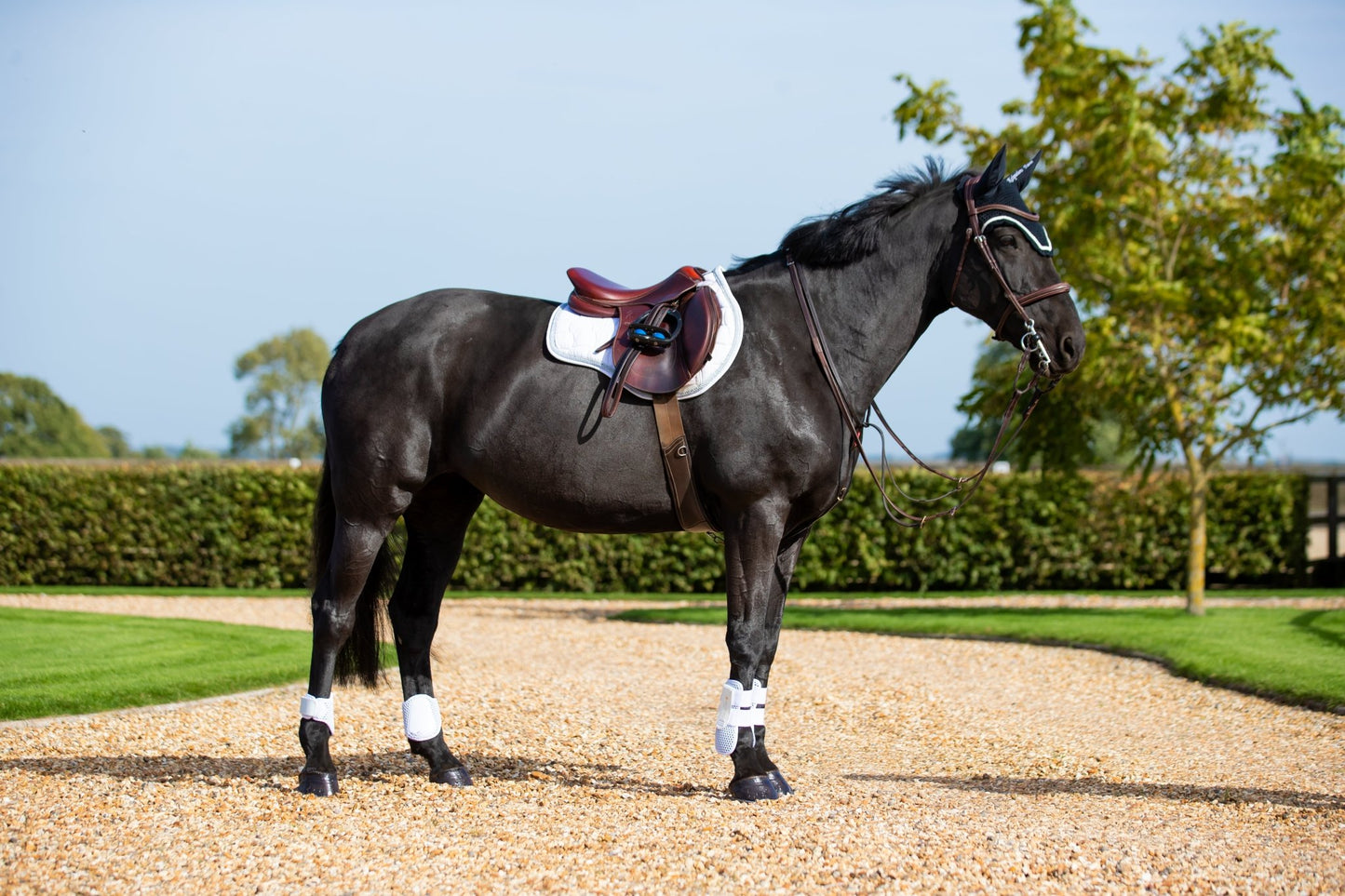 Tri-Zone Fetlock Boots White - Aitken's Saddlery