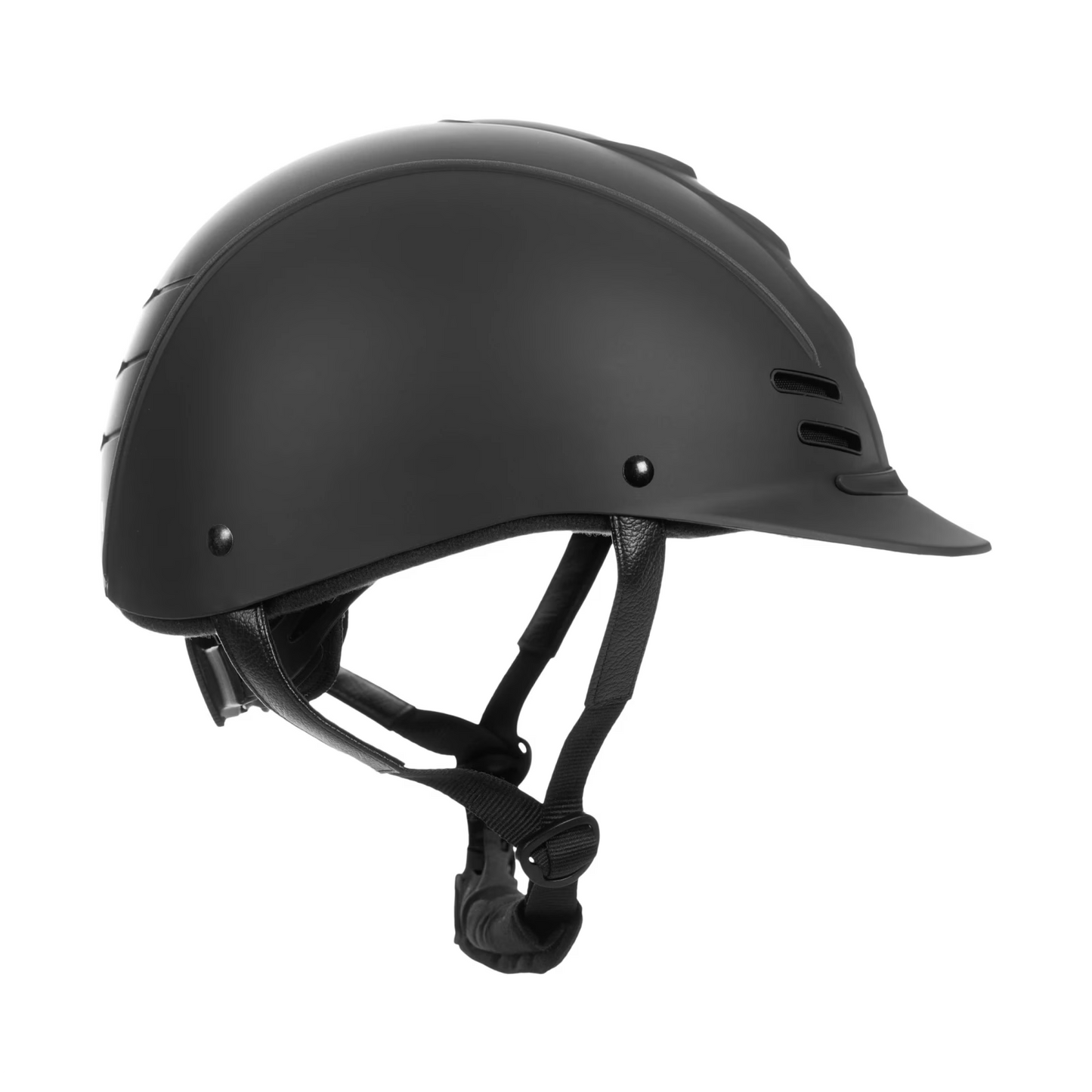 Equinavia Gardian Helmet