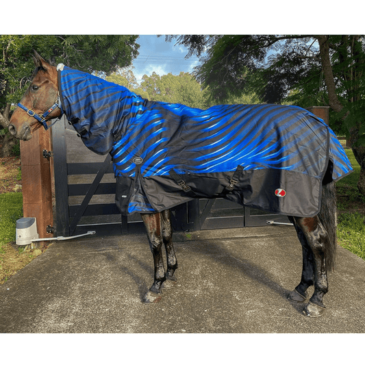 Zilco Crusader 200 Combo Blue & Black drop - Aitken's Saddlery