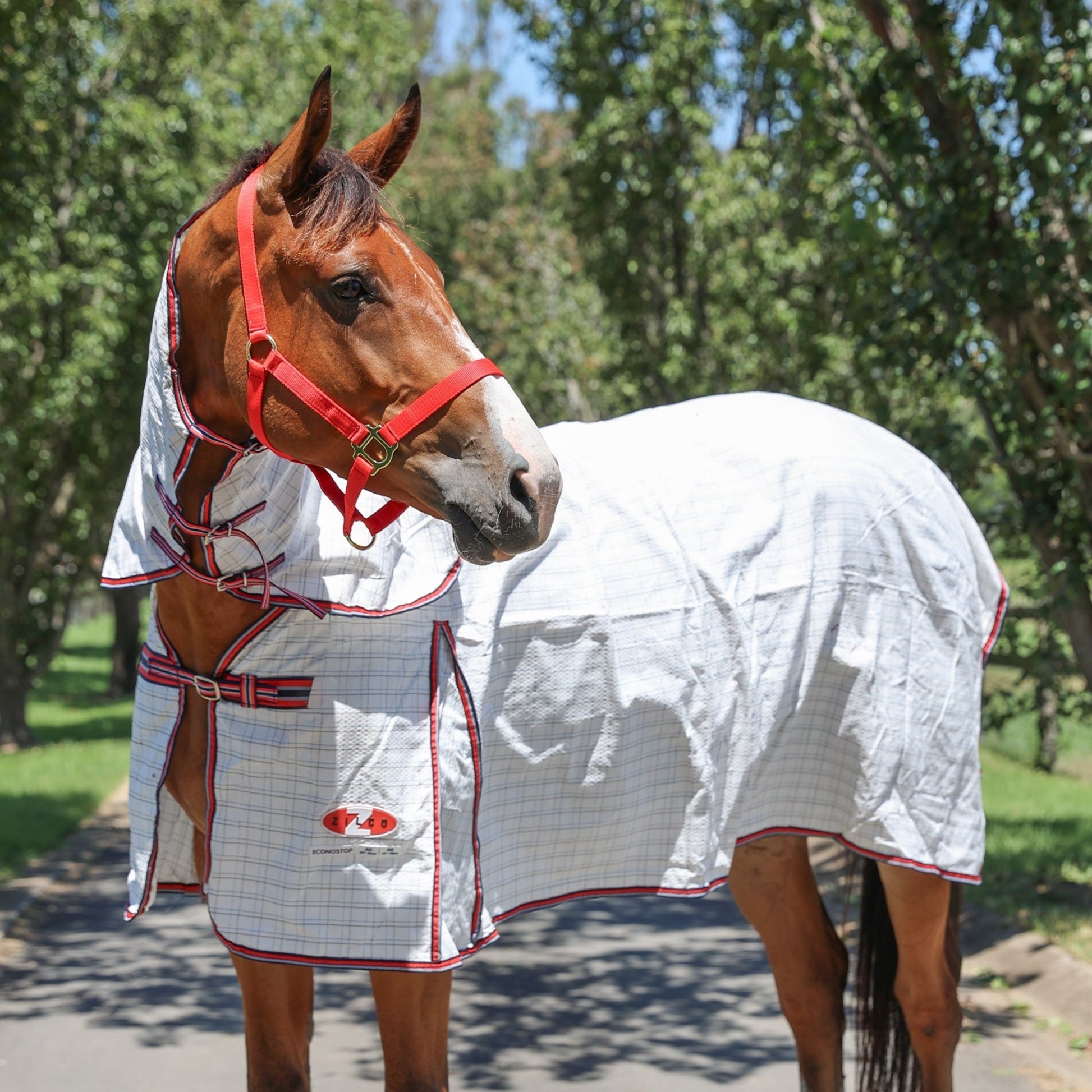 Zilco Econostop Combo White Check - Aitken's Saddlery
