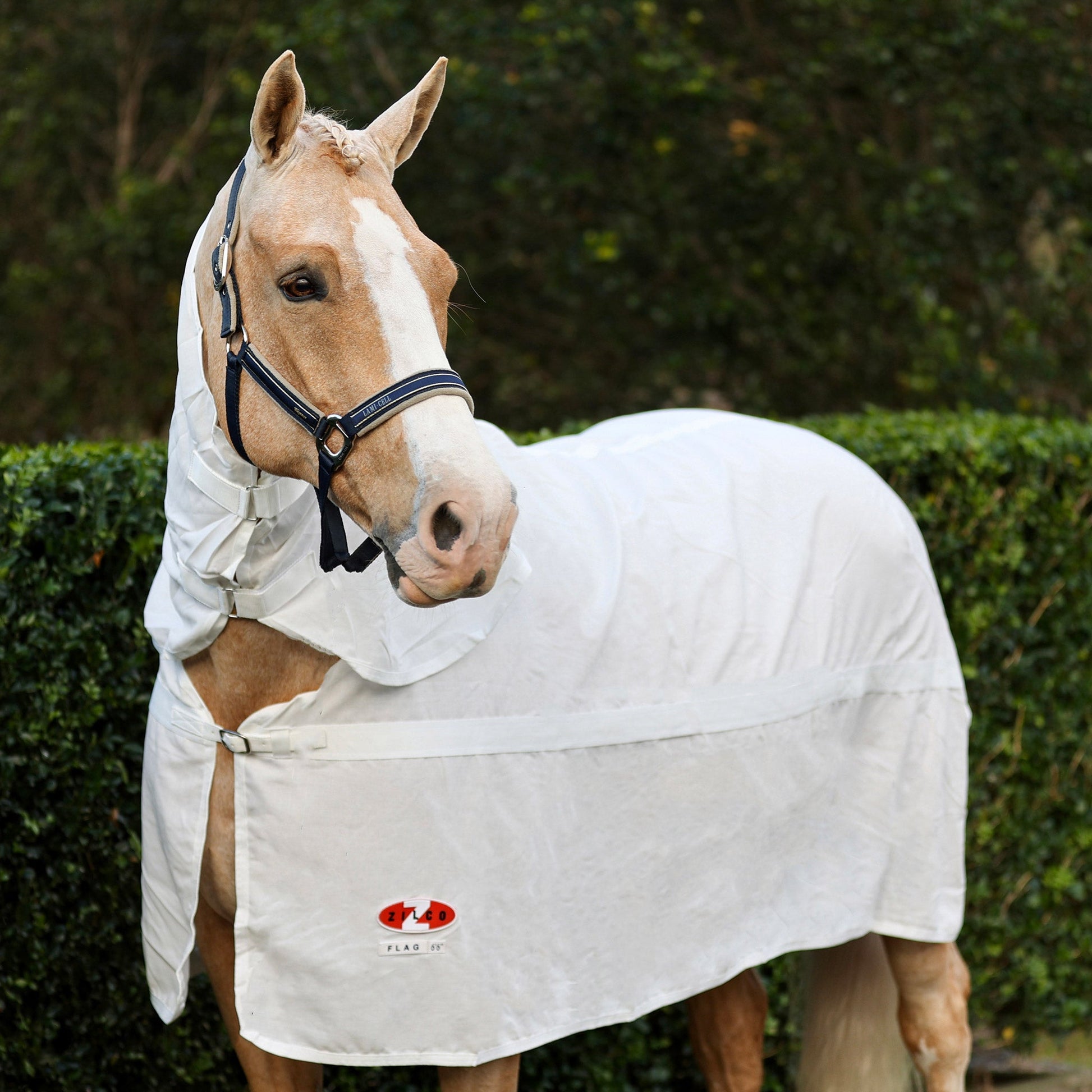 Zilco Flag Combo - Aitken's Saddlery