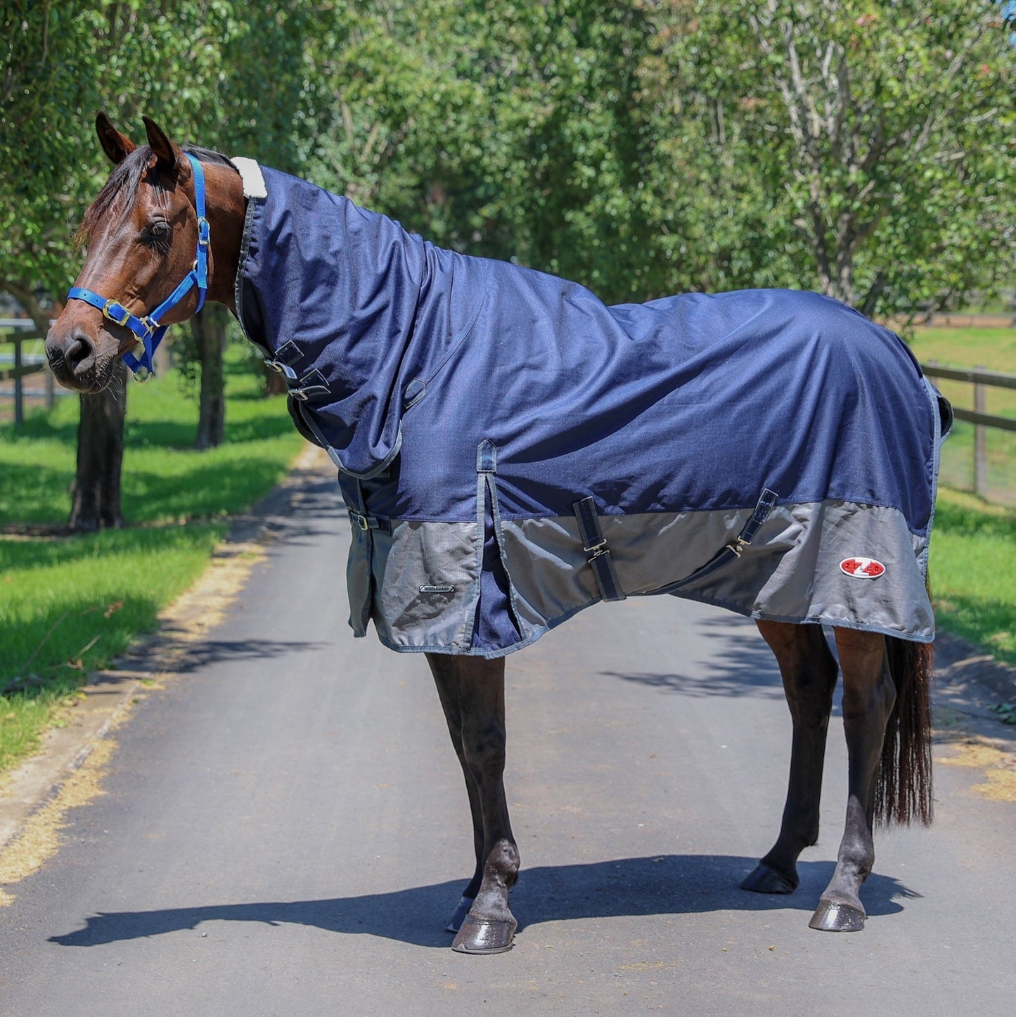 Zilco Woolguard Combo Navy and Grey - Aitken's Saddlery