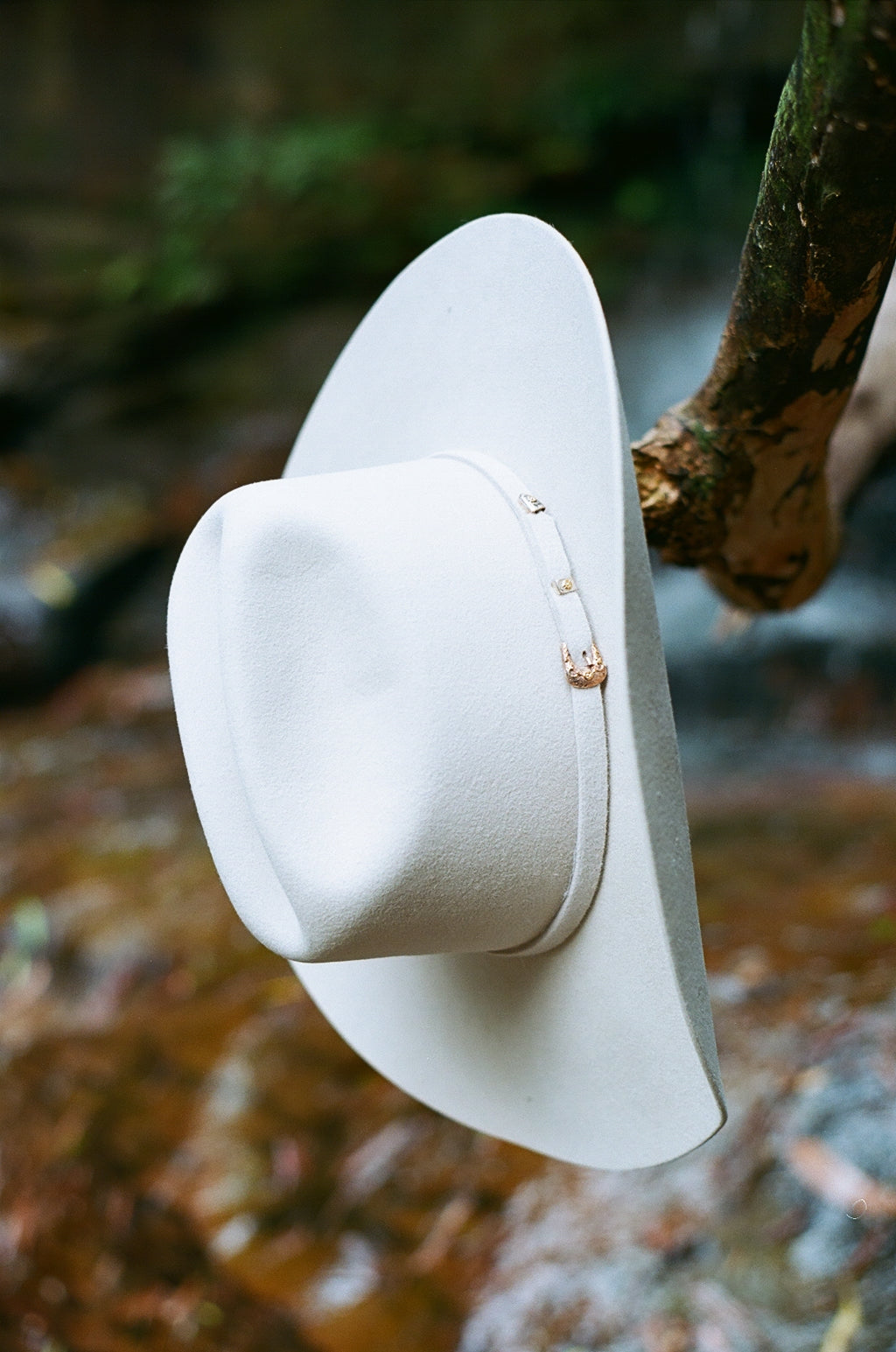Stetson Colorado Hat Silver Belly