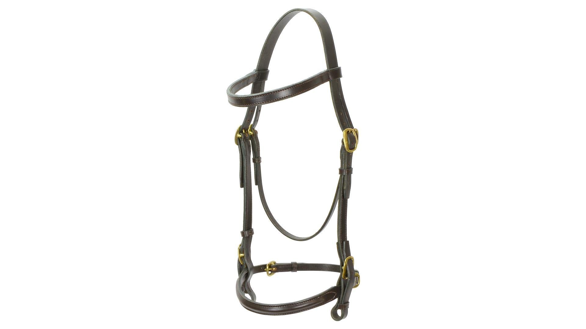 Stallion Show Bridle