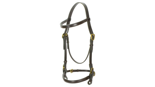 Stallion Show Bridle