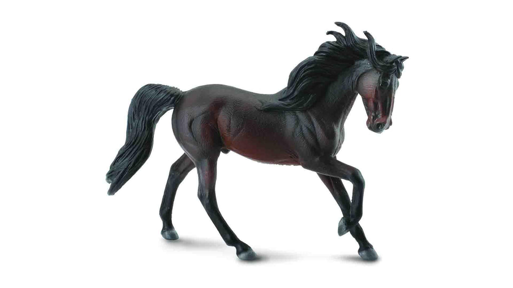 toy andy