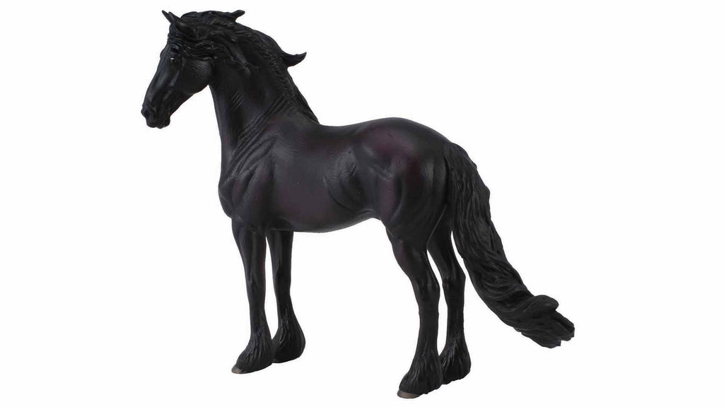 black fresian stallion