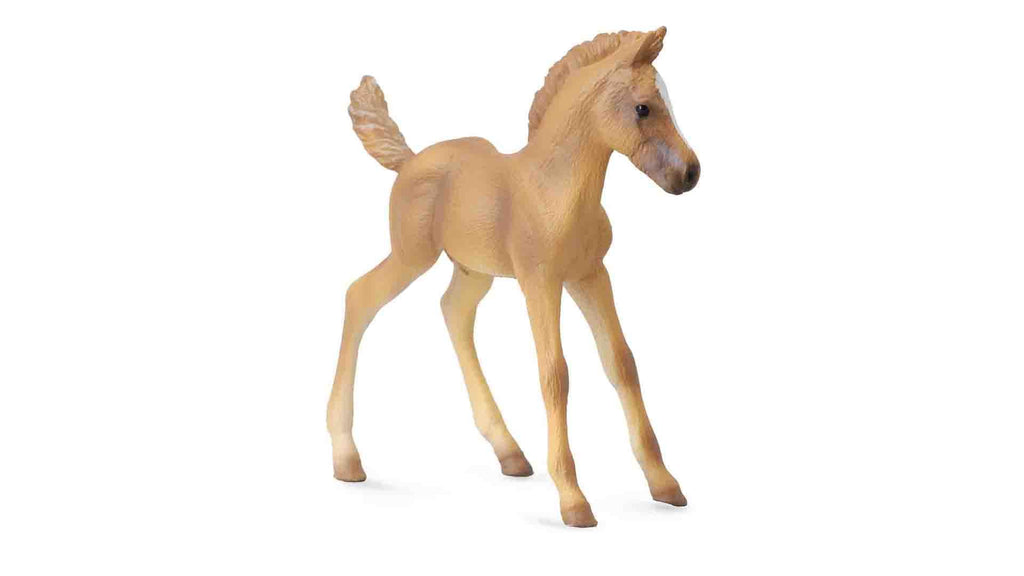 halflinger standing foal