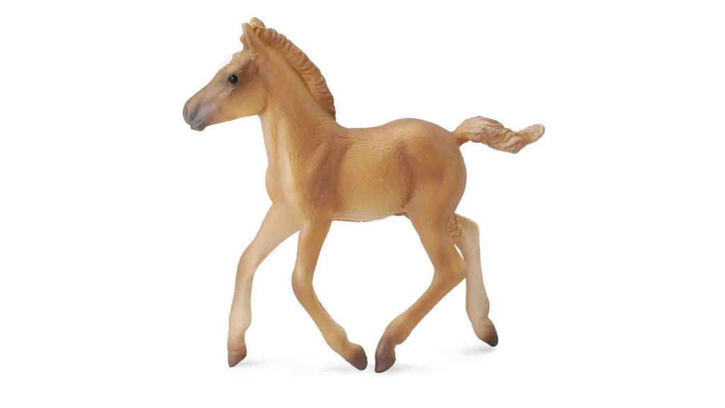 halflinger walking foal