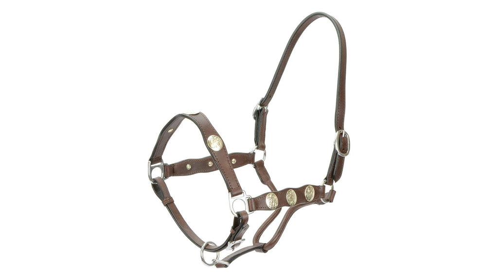 Scalloped Western Headstall brown