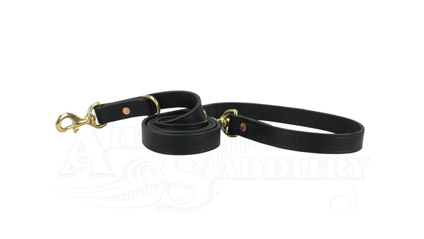 Porter Dog Training Lead