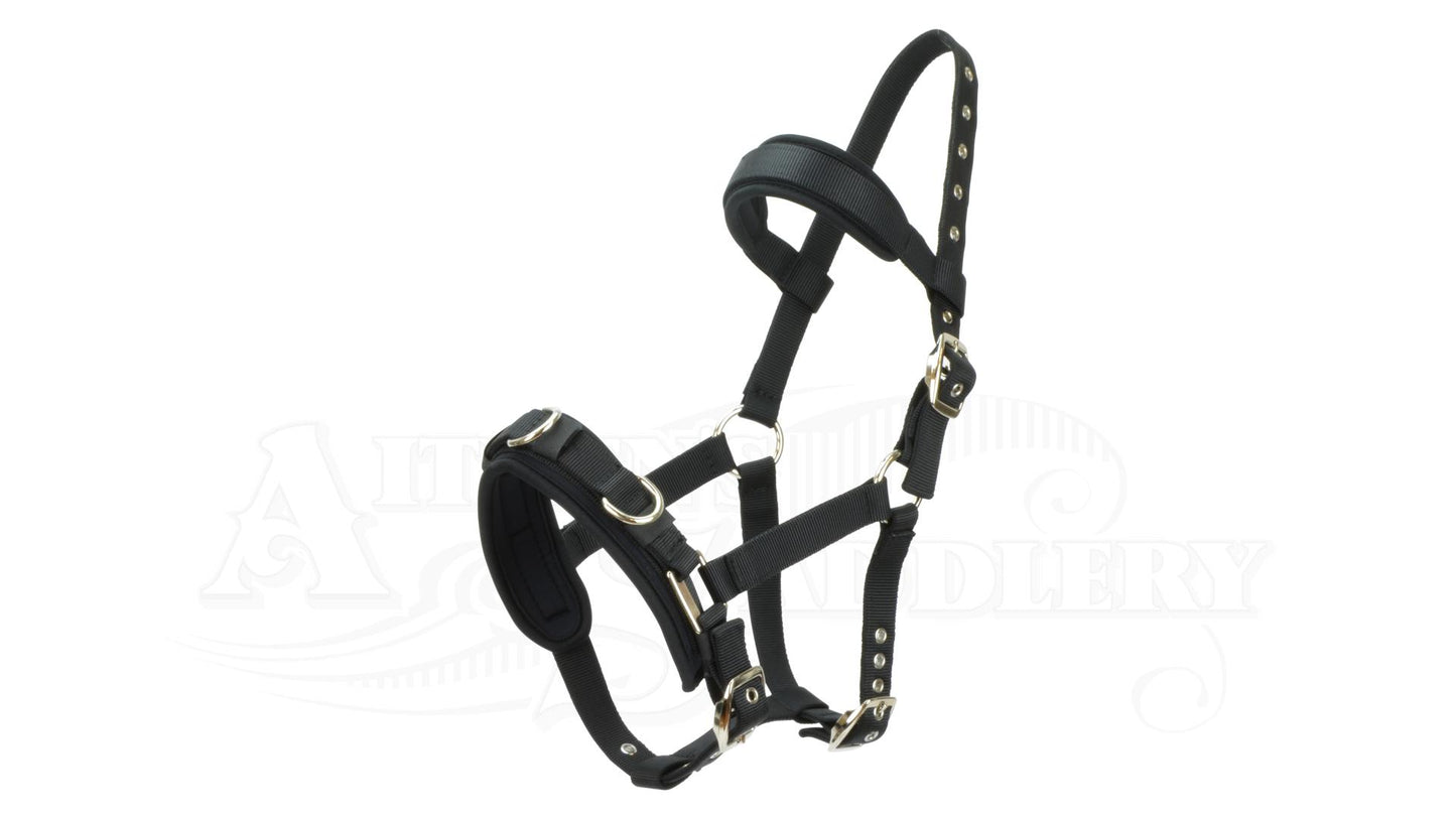 Nylon Lunge Cavesson Economy